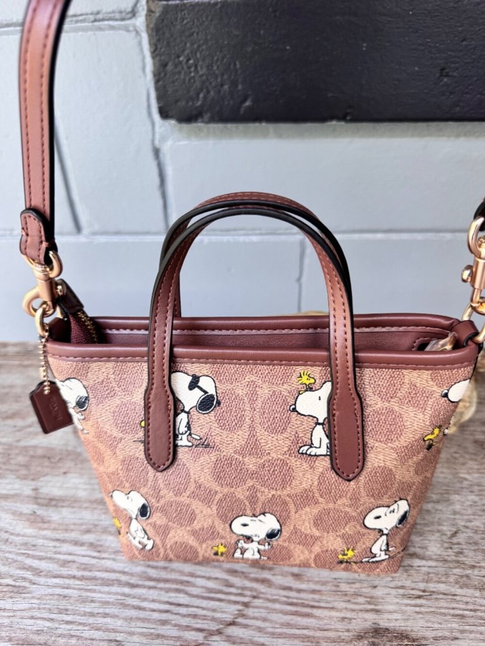 Coach Peanuts Snoopy Woodstock Mini Satchel Crossbody Signature Canvas Bag - Picture 3 of 13